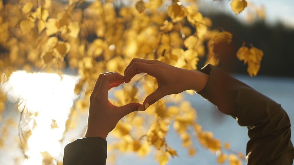 Фотография автора Ксения Маслова