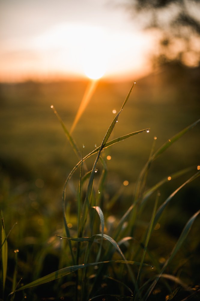 Photograph by Анастасия Одинцова