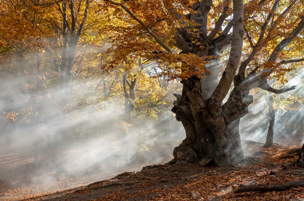 Photograph by Юрий Чернов