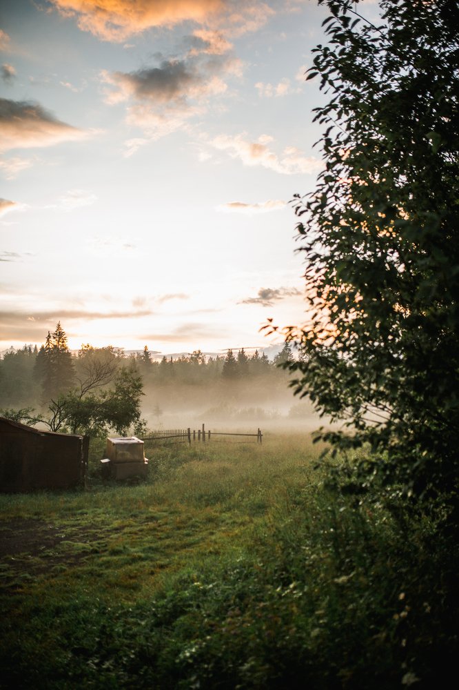 Photograph by Анастасия Одинцова