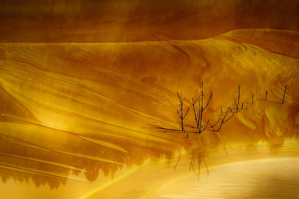 Toxic Water Dead Maze