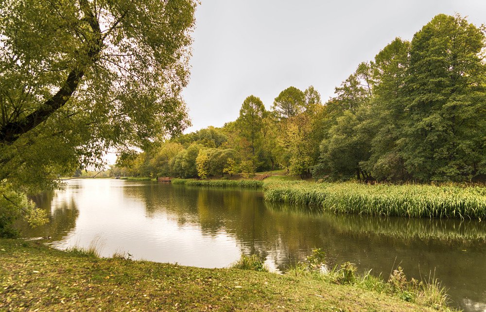 Photograph by Владимир Гречанинов