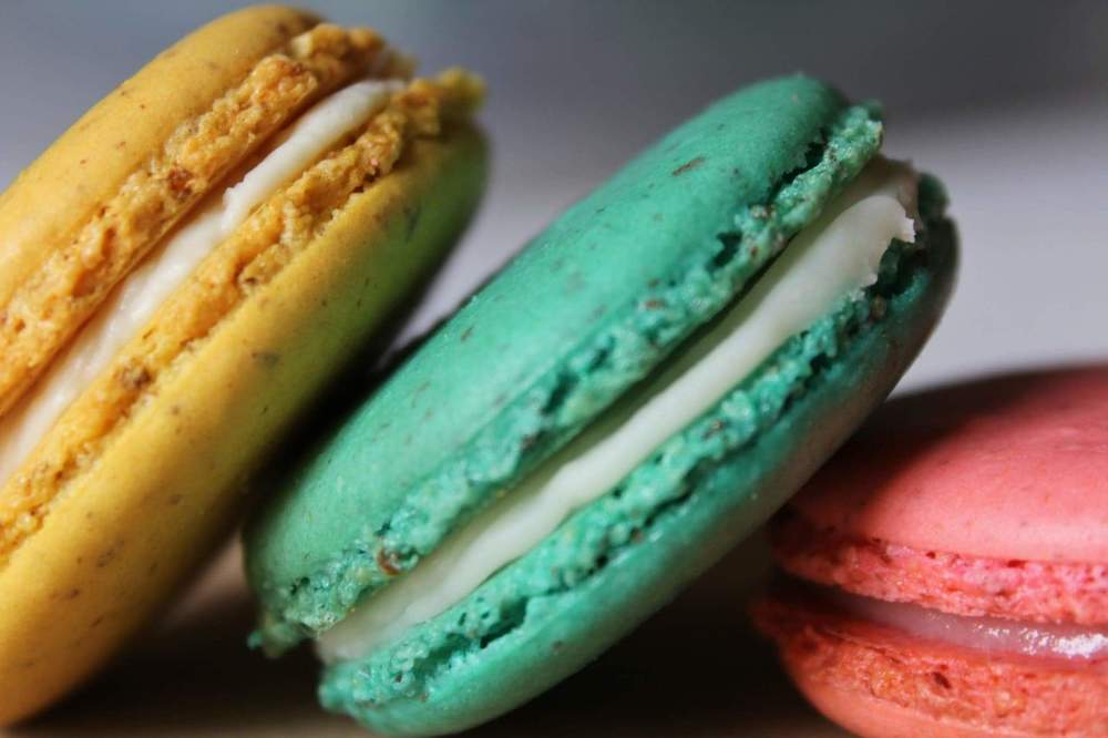 Photograph by  Annette torres