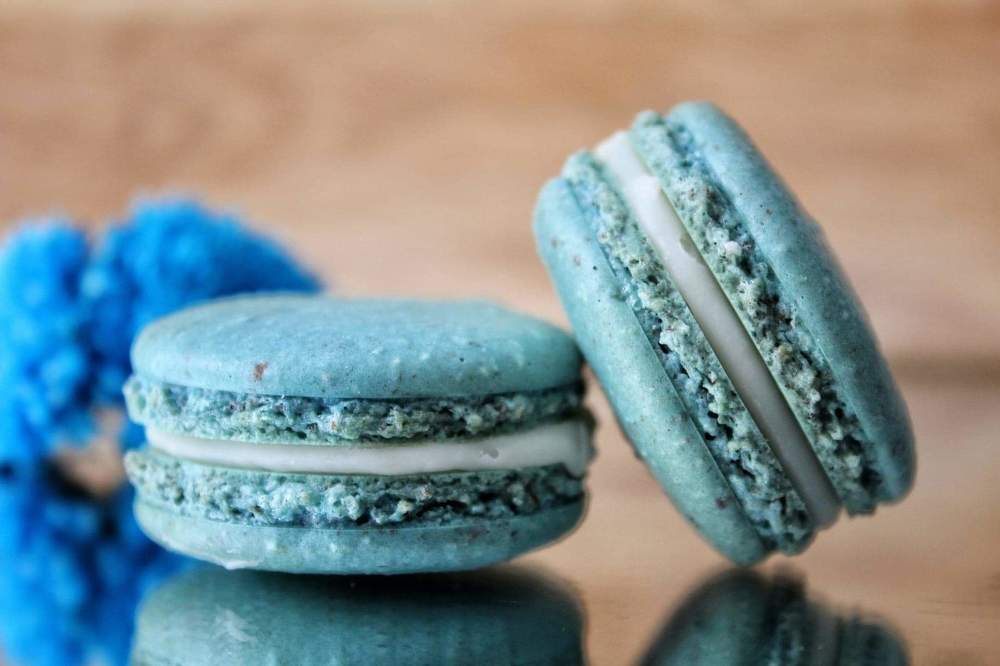 Photograph by  Annette torres