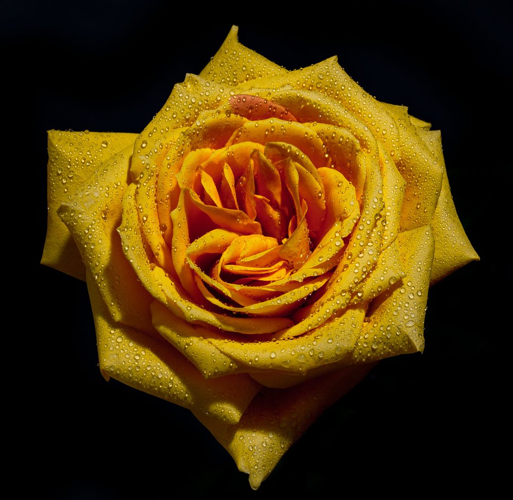 Photograph by Morne Grobler