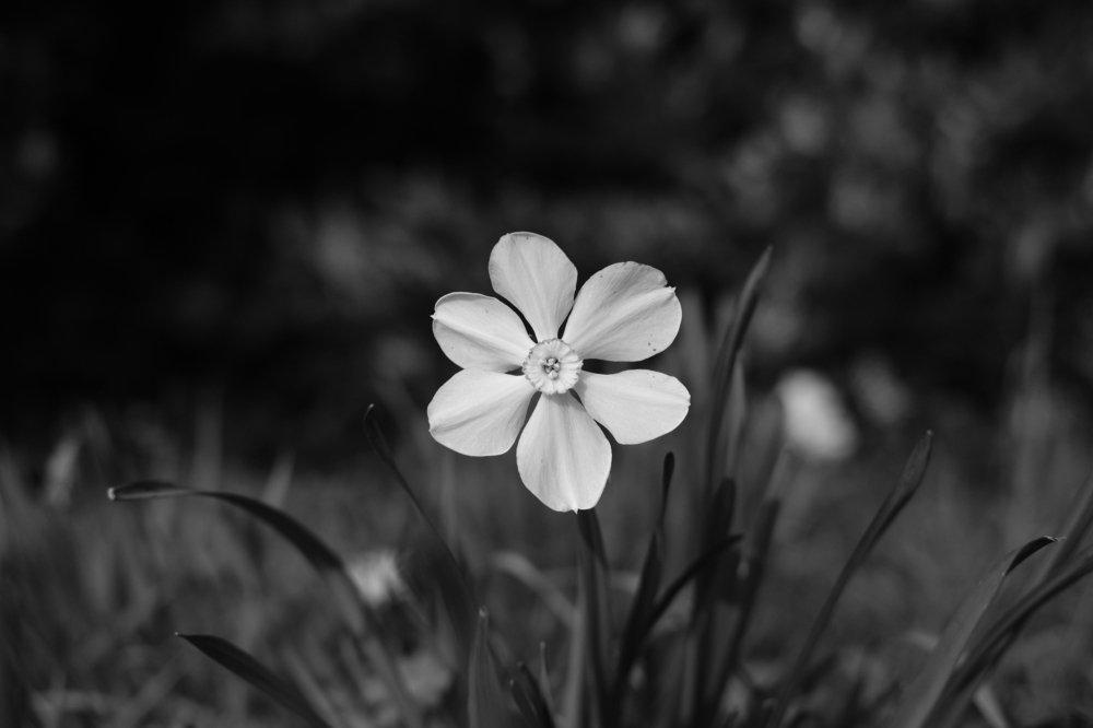 Photograph by Robert Chiorbeja