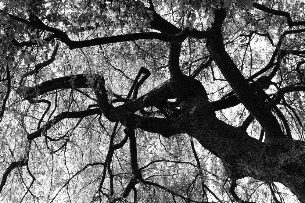 Photograph by Robert Chiorbeja