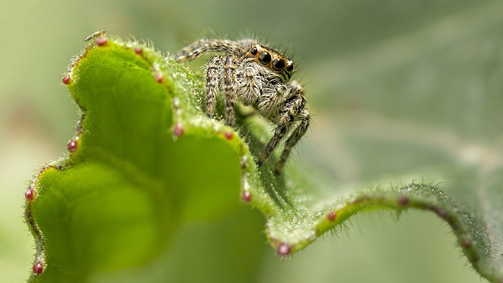 Photograph by Selma Kotancı