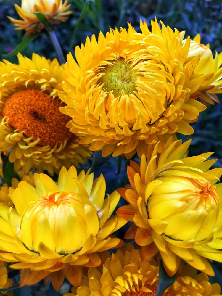 Photograph by Марина Данилюк