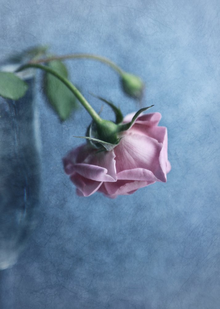 Фотография автора Любовь Бесклубова