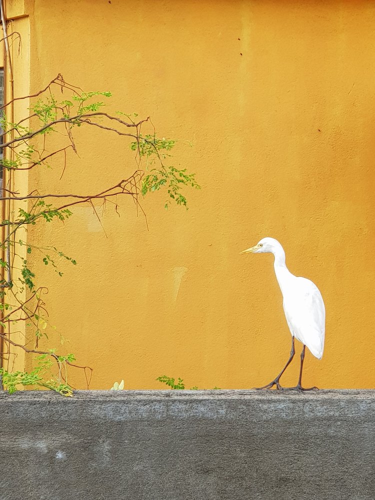 Photograph by Павел Токарев