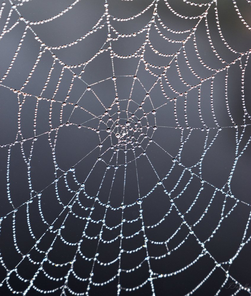 Photograph by Илья Сандлер