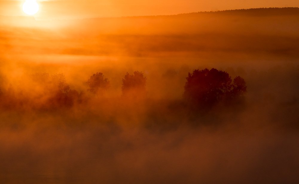 Из серии "рассвет на Томи"