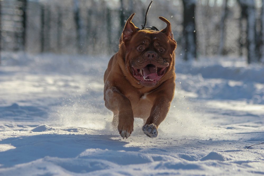 Photograph by Яна Толмачёва