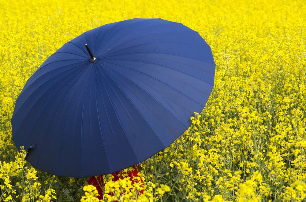 Photograph by Mihai Romeo Bogdan