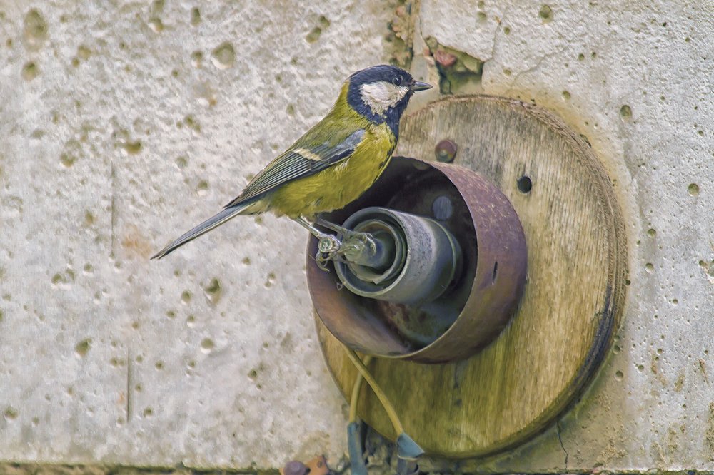 электрика вызывали?