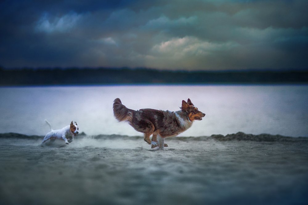 Photograph by Viktoria Baranova