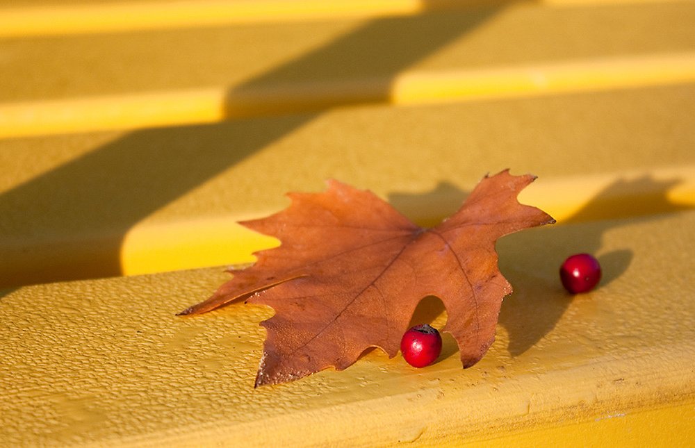 Photograph by Елена Покрепа