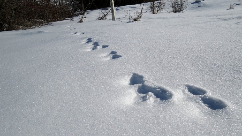 Photograph by Альберт Восканян