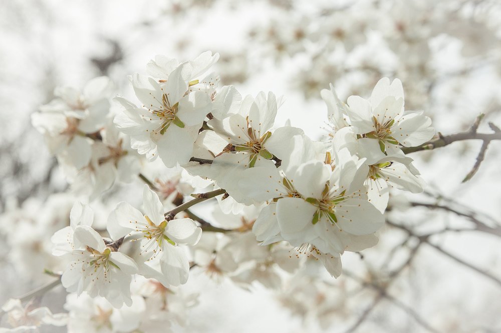 Photograph by Елена Покрепа