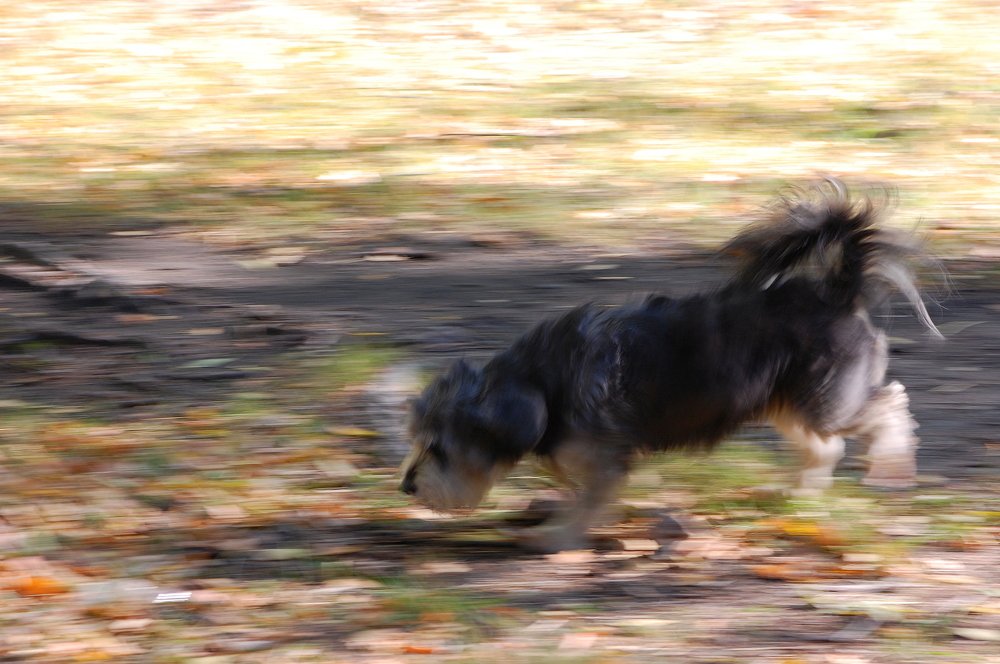 Photograph by Вольтова Наталья