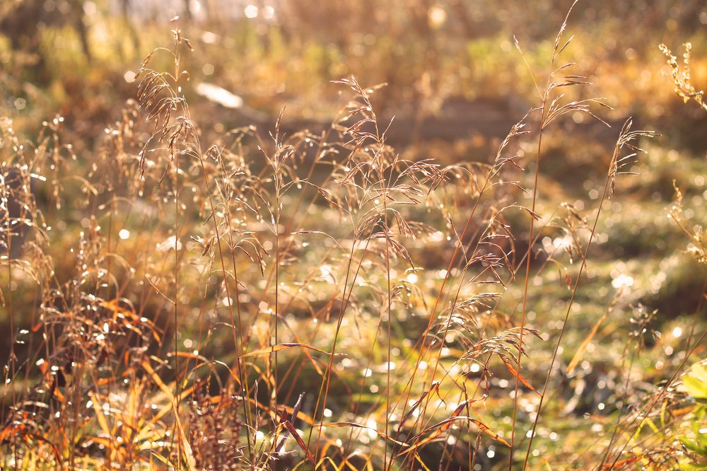 Photograph by  Наталья