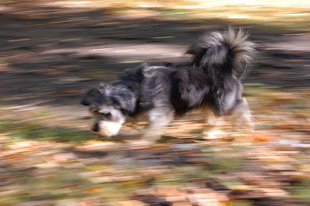 Photograph by Вольтова Наталья