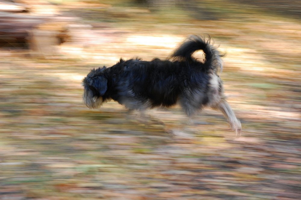 Photograph by Вольтова Наталья