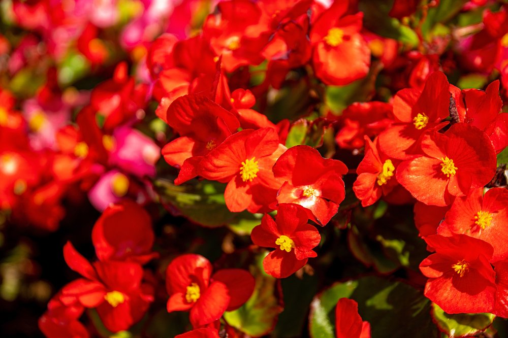 Photograph by Владимир Осипов