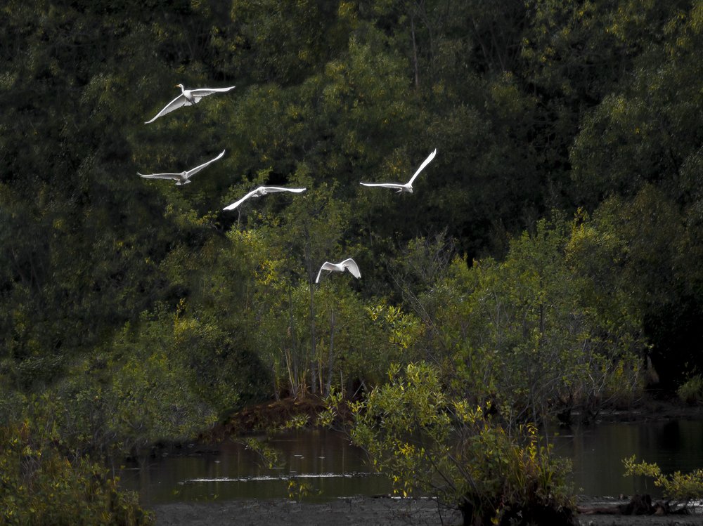Photograph by Шутов Владимир