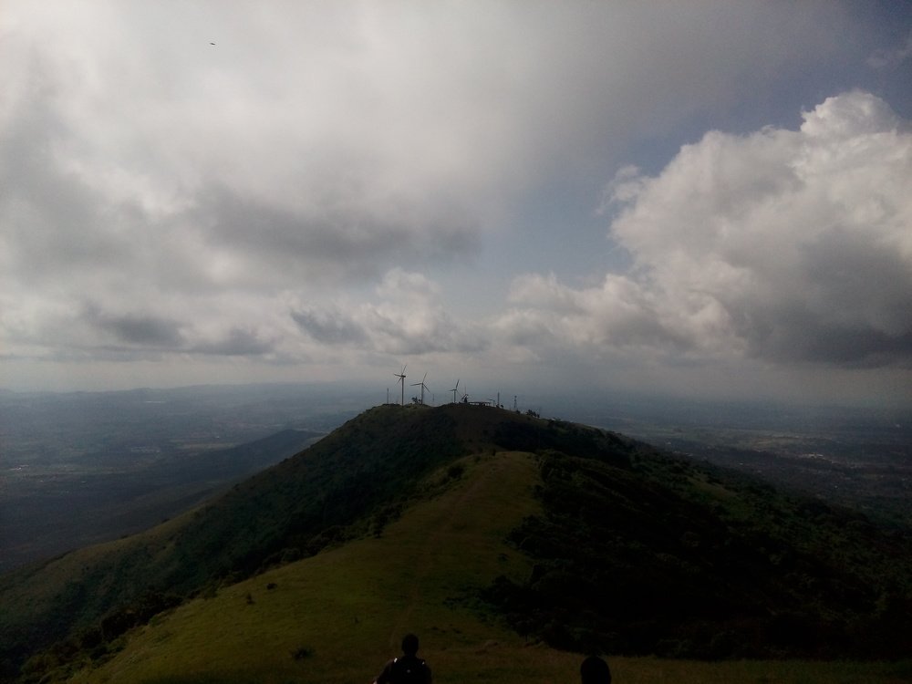 Photo #3647903