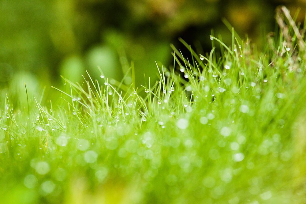 Photograph by Елена Покрепа