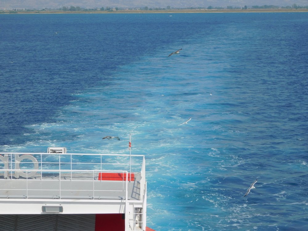 Photograph by Елена Грошева