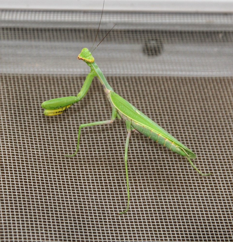 Photograph by Владимир Осипов