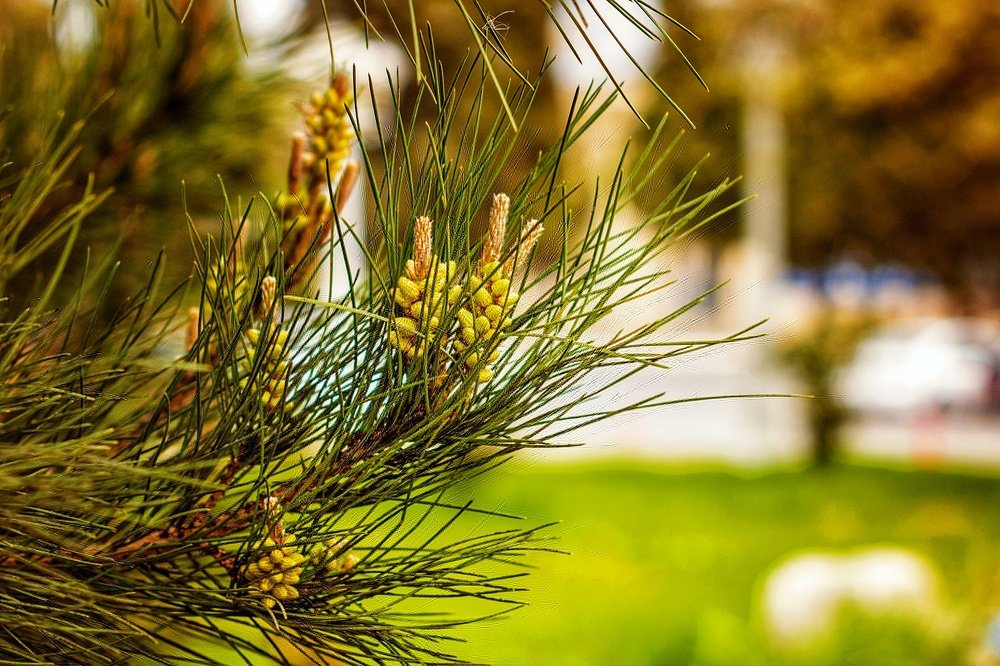 Photograph by Владимир Осипов