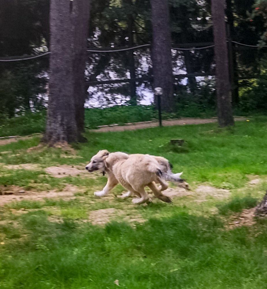 Photograph by Татьяна Чернышова