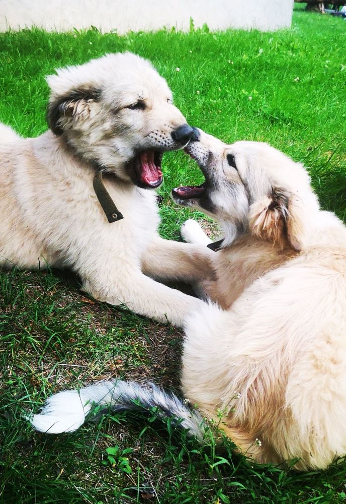 Photograph by Татьяна Чернышова