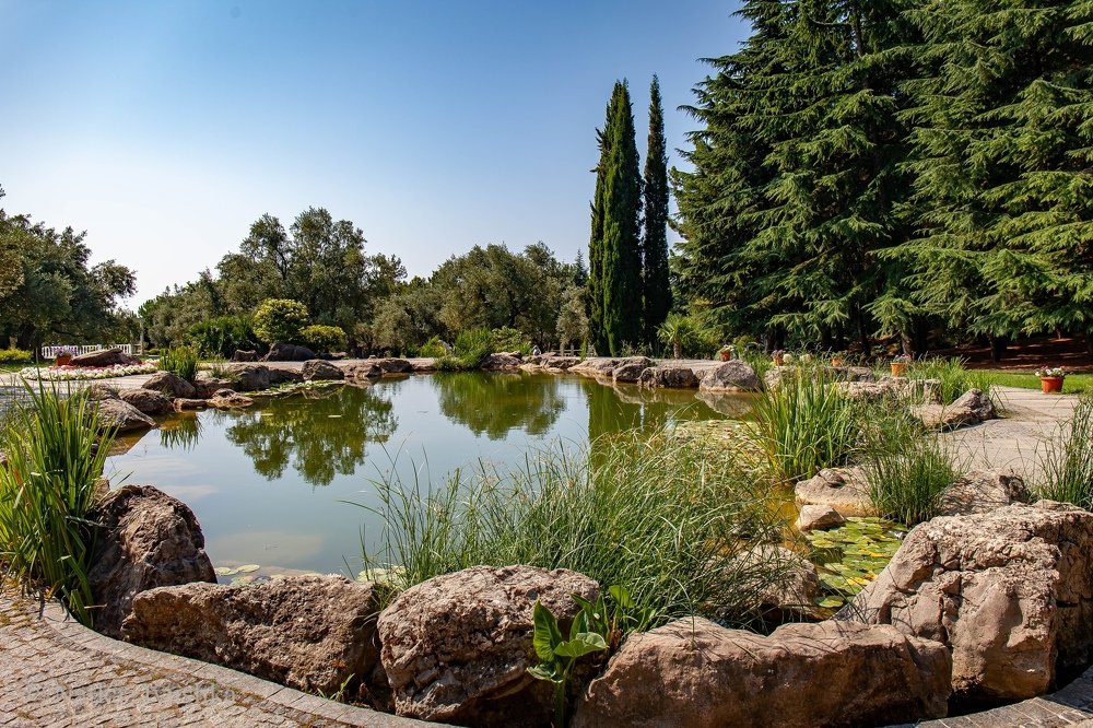 Photograph by Наталия Иванова