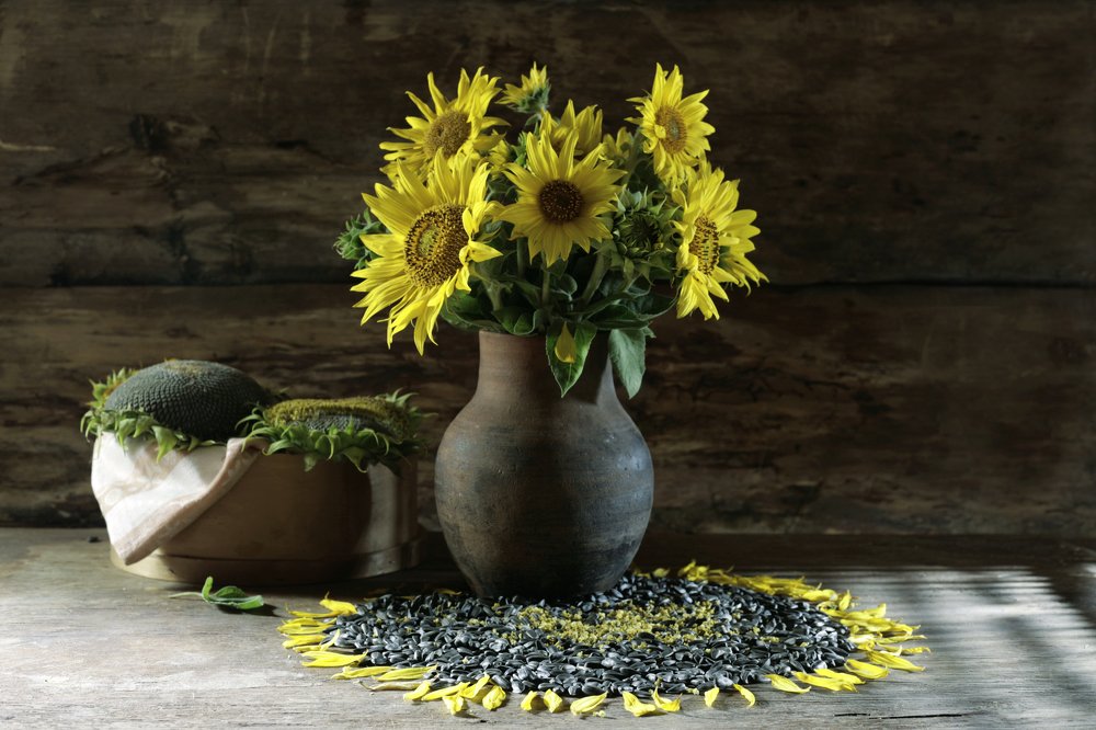 Photograph by Ольга Касьянова