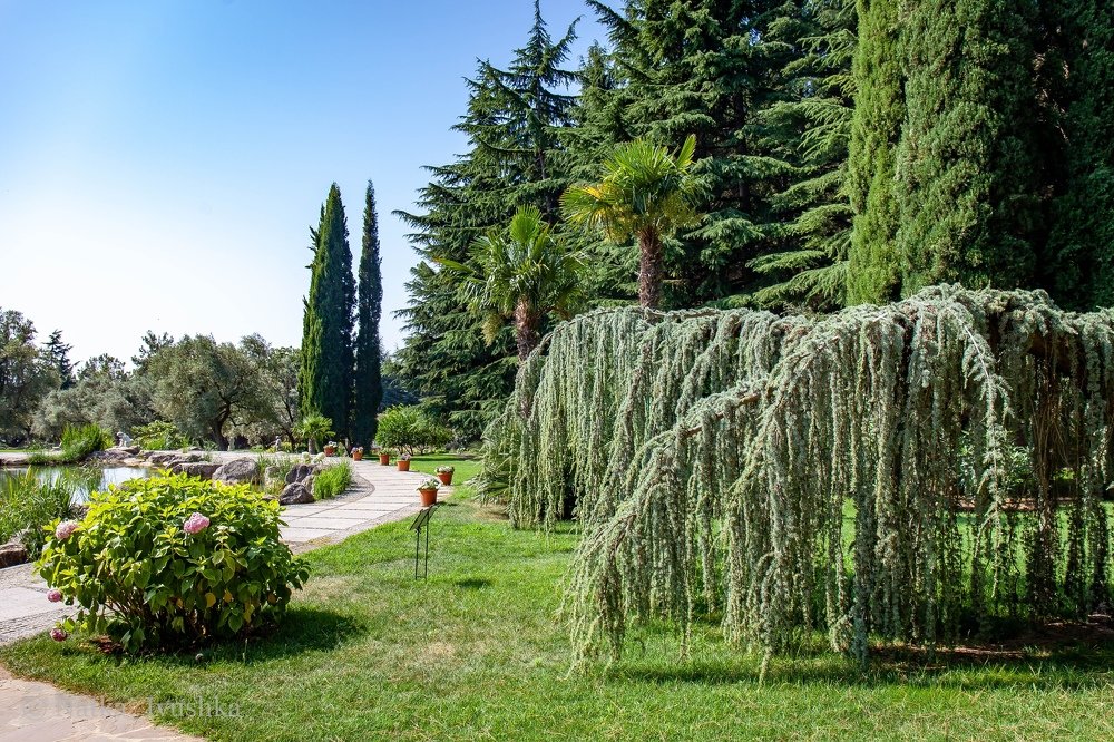 Photograph by Наталия Иванова