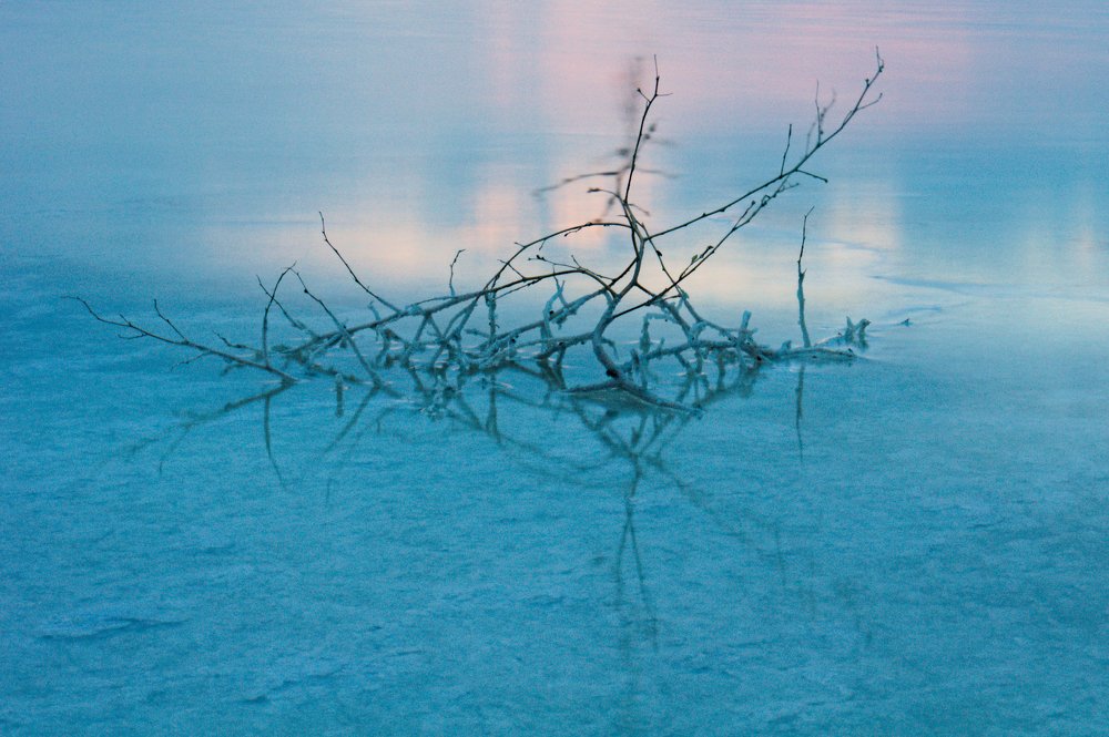 Photograph by Анна