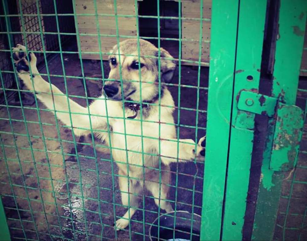 Photograph by Леся Дмітрук