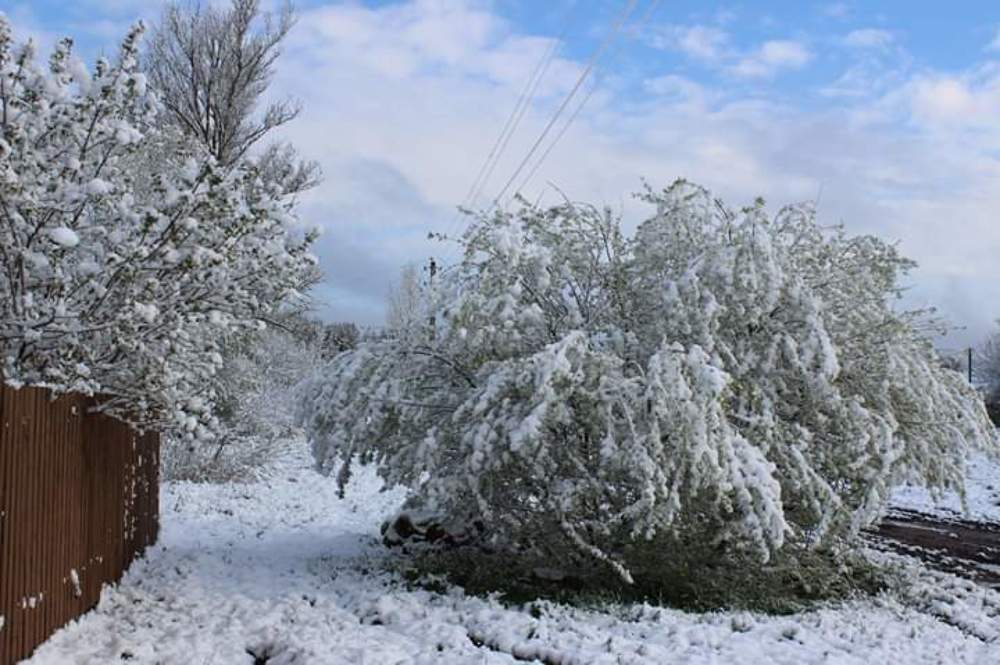 Photograph by Леся Дмітрук