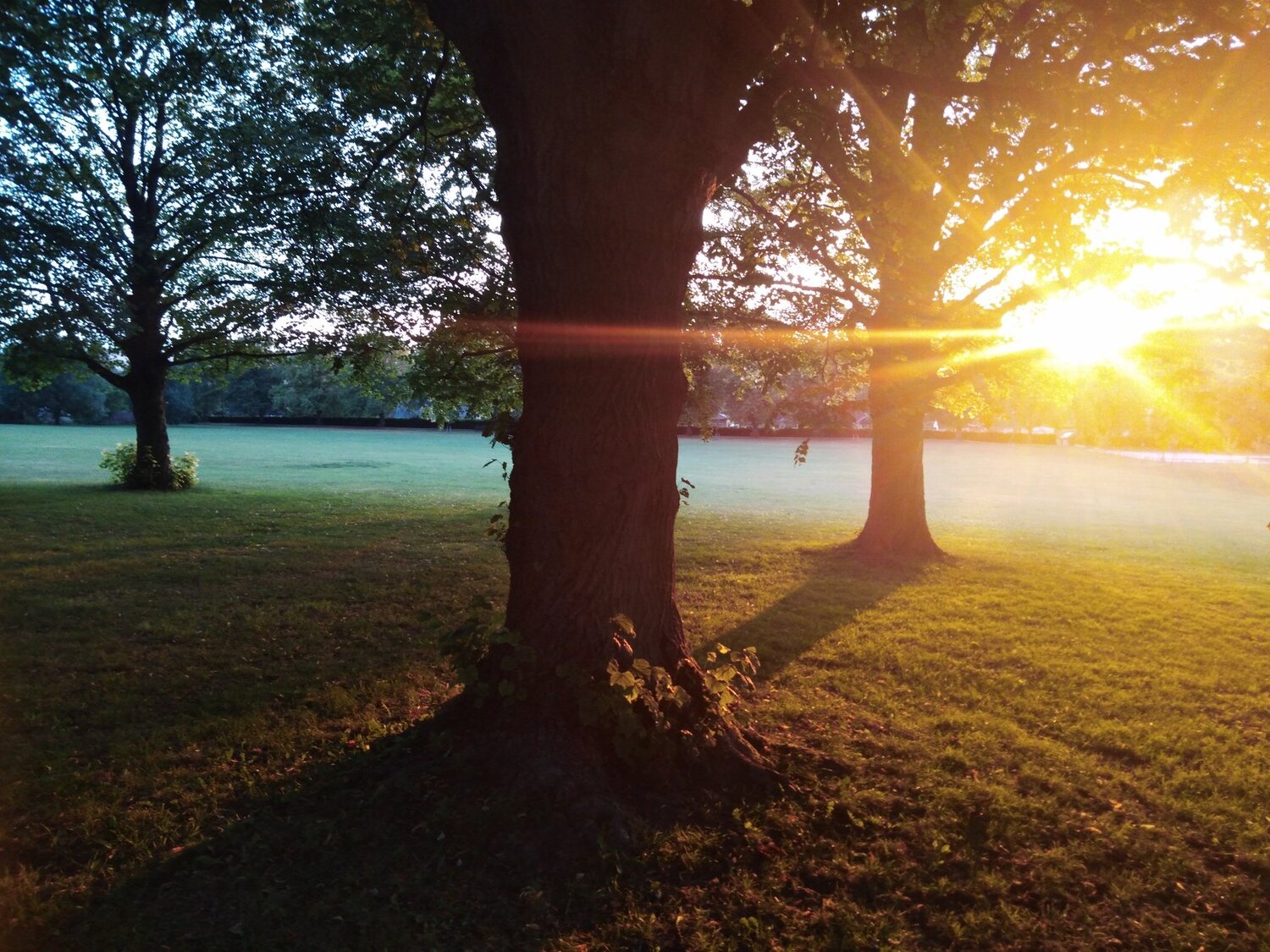 Photo #3648241