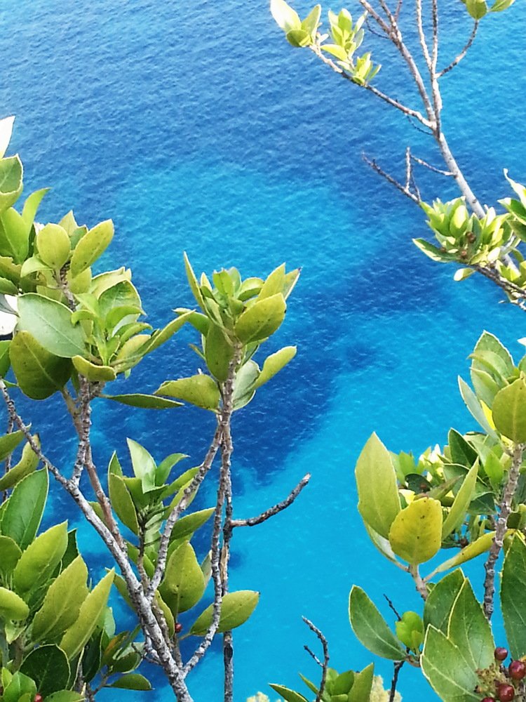 Голубое море