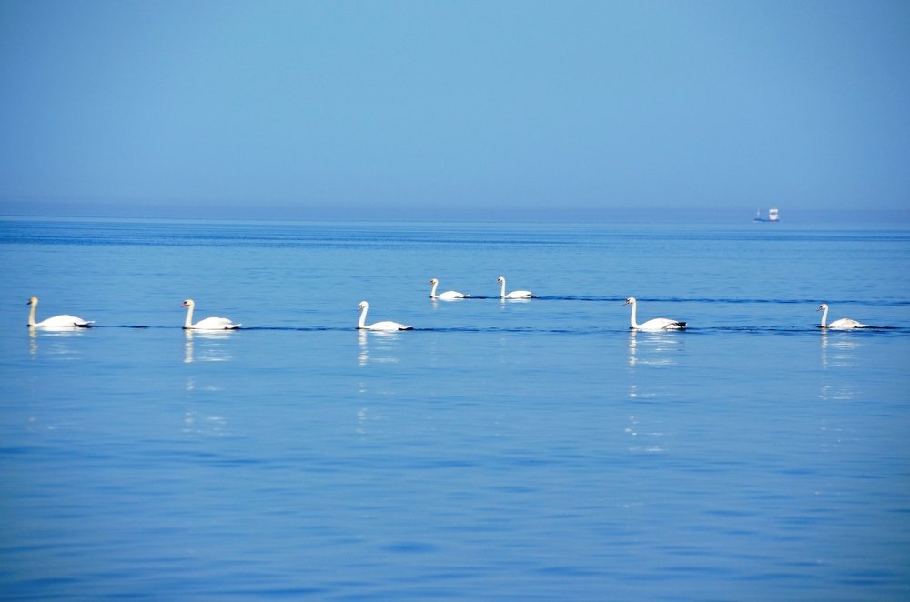 Photograph by Galina Baranovskaja