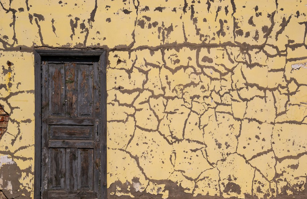 Photograph by Ксения Рыбка