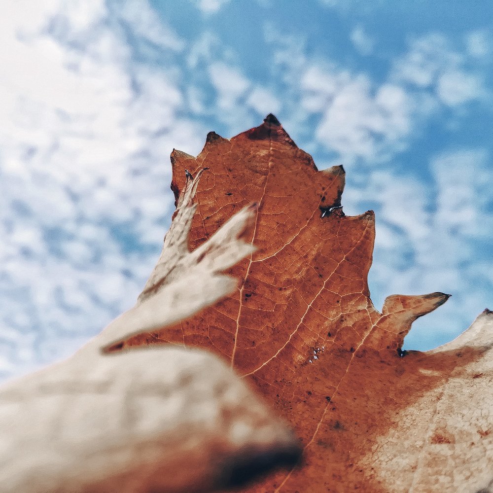 Photograph by Mazen Abdennadher