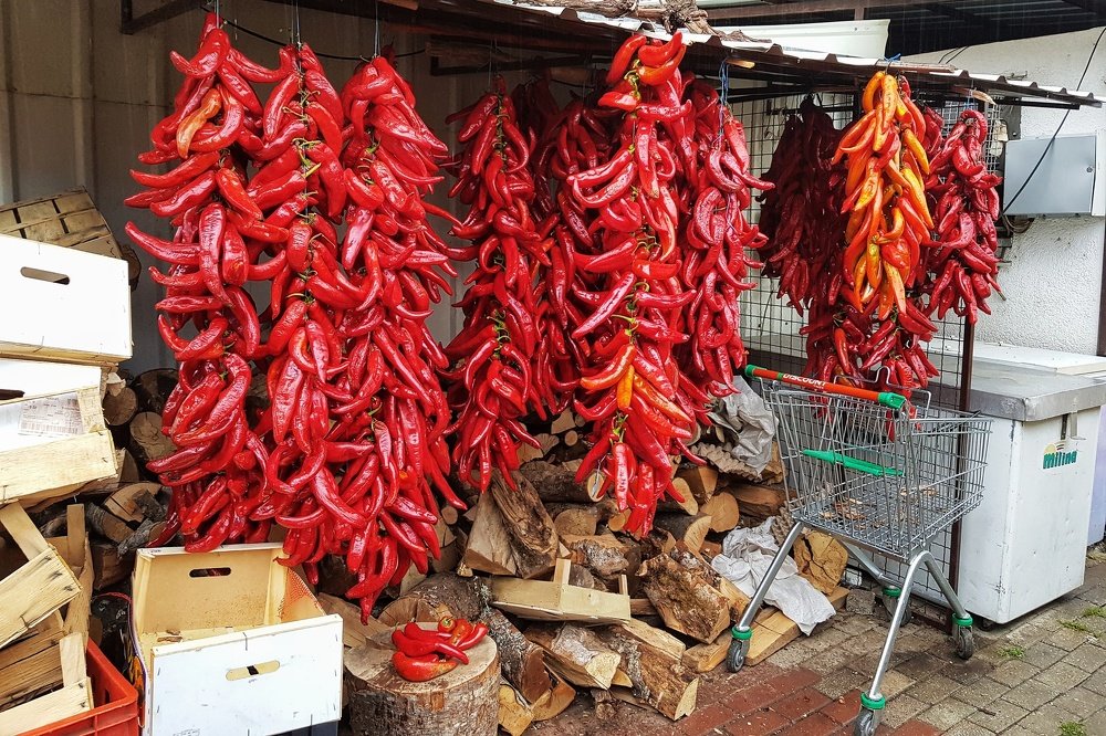 Photograph by Marcin Sokolowski - maarew