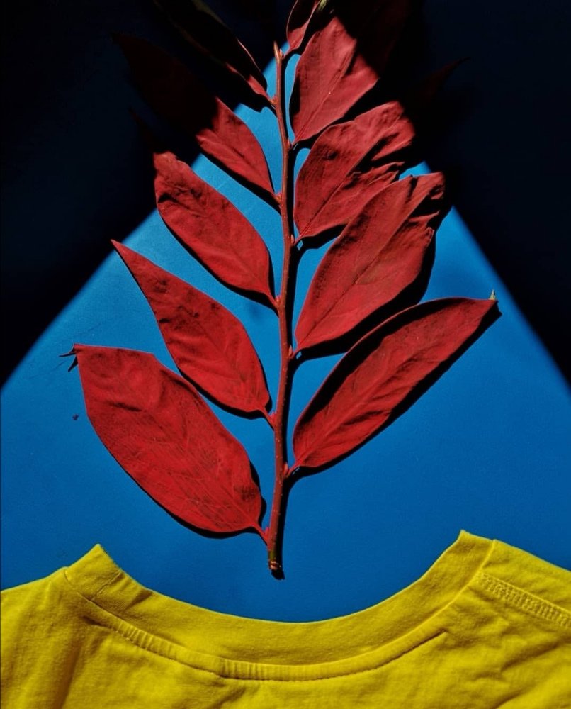 Photograph by Mariam